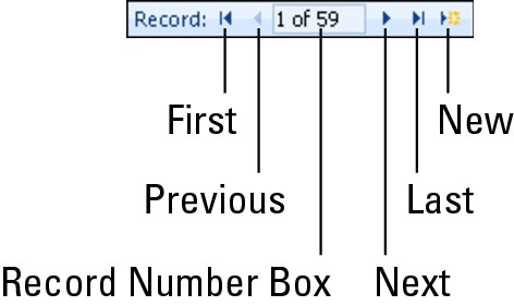 The Navigation buttons of a datasheet